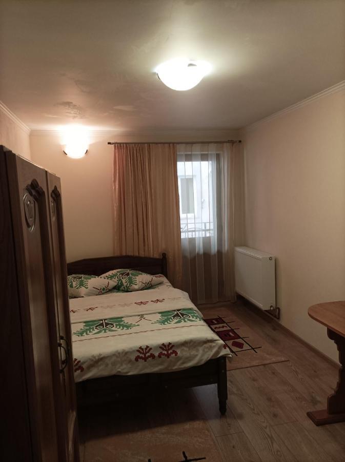 Appartement Vila Alpina Olanesti à Băile Olăneşti Extérieur photo